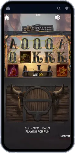 Proceso de juego en la slot Dead or Alive 2